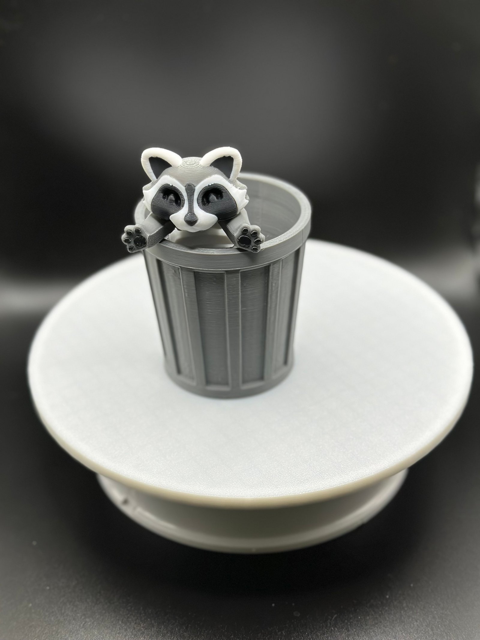 3D Printed Articulated Raccoon Fidget Toy | Trash Can Panda